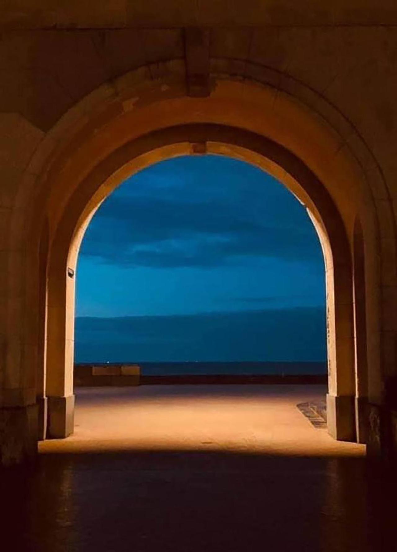 Belle De Nuit